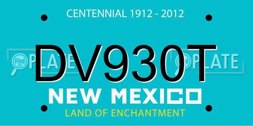 DV930T New Mexico License Plate