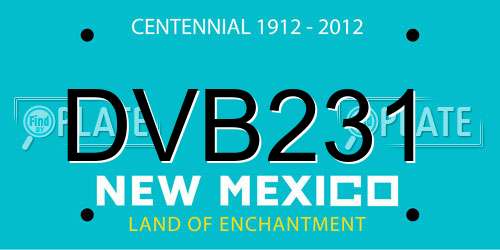 DVB231 New Mexico License Plate