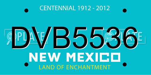 DVB5536 New Mexico License Plate