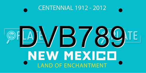 DVB789 New Mexico License Plate
