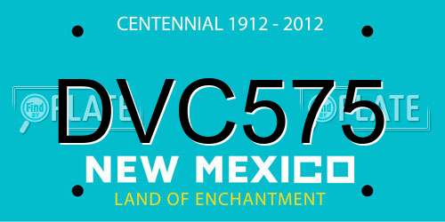 DVC575 New Mexico License Plate