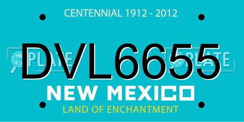 DVL6655 New Mexico License Plate