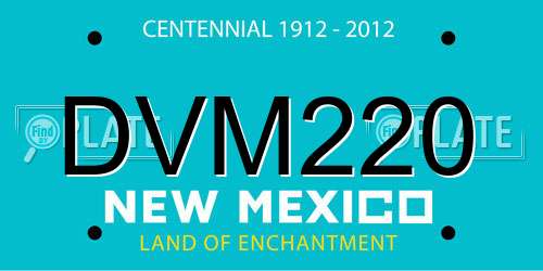 DVM220 New Mexico License Plate
