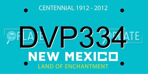 DVP334 New Mexico License Plate