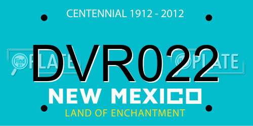 DVR022 New Mexico License Plate