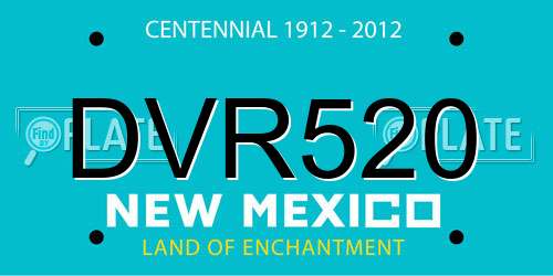 DVR520 New Mexico License Plate