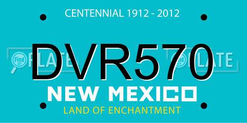 DVR570 New Mexico License Plate