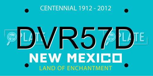 DVR57D New Mexico License Plate