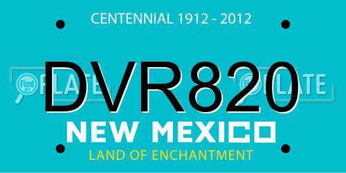 DVR820 New Mexico License Plate