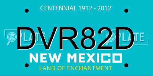 DVR82D New Mexico License Plate
