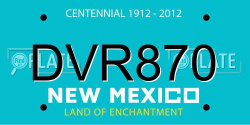 DVR870 New Mexico License Plate