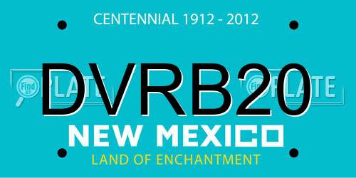 DVRB20 New Mexico License Plate