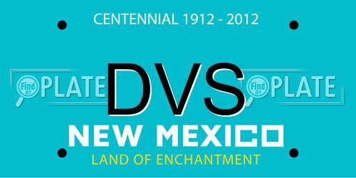 DVS New Mexico License Plate