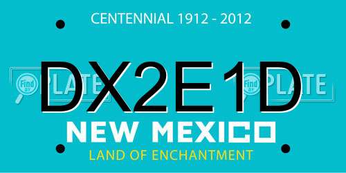 DX2E1D New Mexico License Plate
