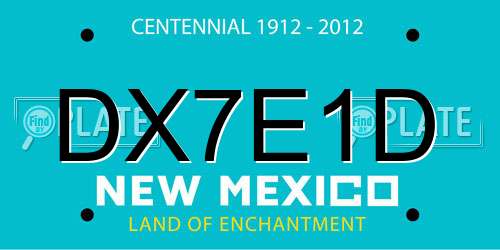 DX7E1D New Mexico License Plate