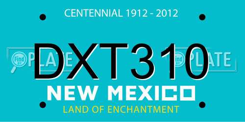 DXT310 New Mexico License Plate