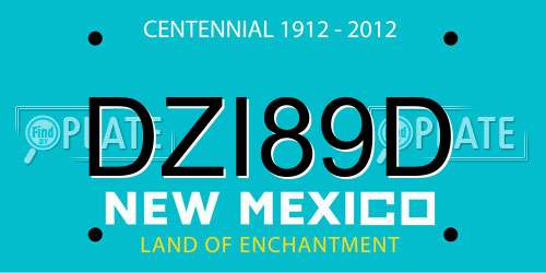 DZI89D New Mexico License Plate