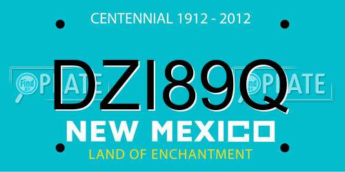 DZI89Q New Mexico License Plate