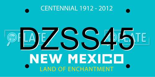 DZSS45 New Mexico License Plate