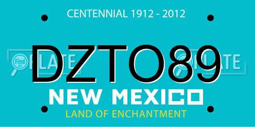 DZTO89 New Mexico License Plate