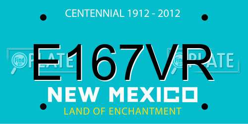 E167VR New Mexico License Plate
