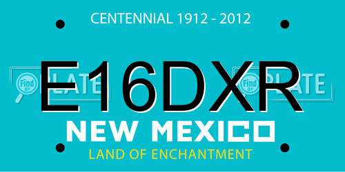 E16DXR New Mexico License Plate