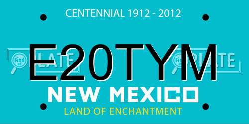 E20TYM New Mexico License Plate