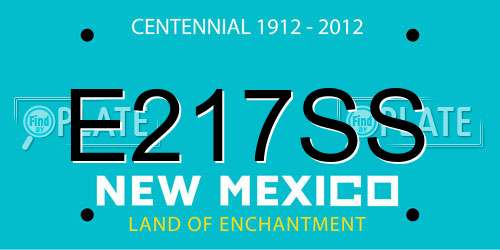 E217SS New Mexico License Plate