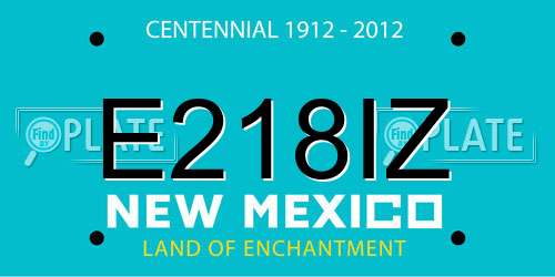 E218IZ New Mexico License Plate