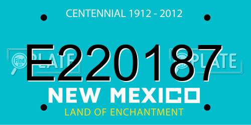 E220187 New Mexico License Plate