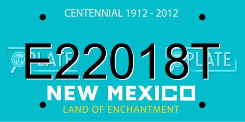 E22018T New Mexico License Plate