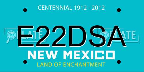 E22DSA New Mexico License Plate