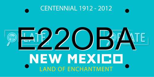 E22OBA New Mexico License Plate