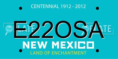 E22OSA New Mexico License Plate
