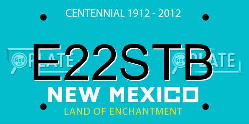 E22STB New Mexico License Plate