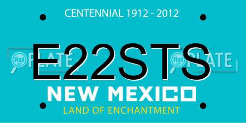 E22STS New Mexico License Plate
