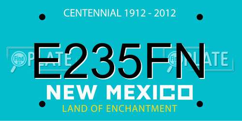 E235FN New Mexico License Plate