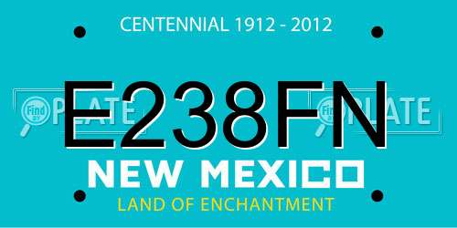 E238FN New Mexico License Plate