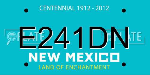 E241DN New Mexico License Plate