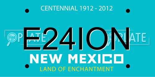 E24ION New Mexico License Plate