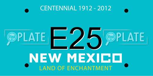 E25 New Mexico License Plate