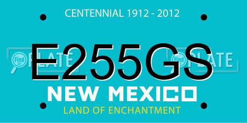 E255GS New Mexico License Plate