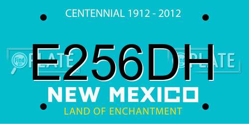 E256DH New Mexico License Plate