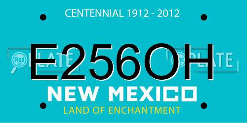 E256OH New Mexico License Plate