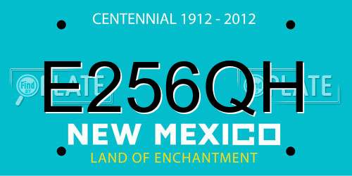 E256QH New Mexico License Plate