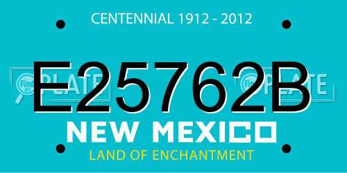 E25762B New Mexico License Plate