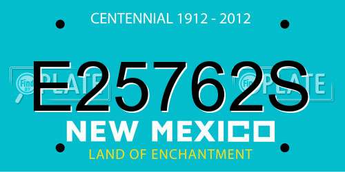 E25762S New Mexico License Plate