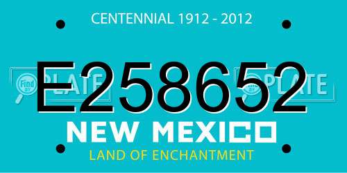 E258652 New Mexico License Plate
