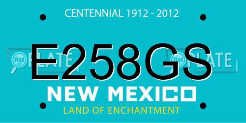 E258GS New Mexico License Plate