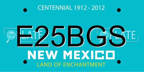 E25BGS New Mexico License Plate